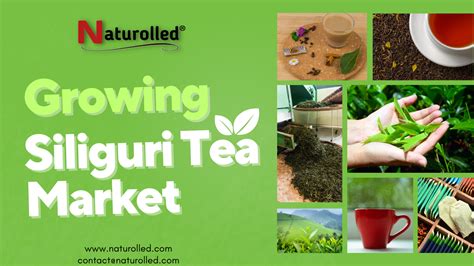 Good News for Tea Lovers: Siliguri Tea Markets Are Growing!