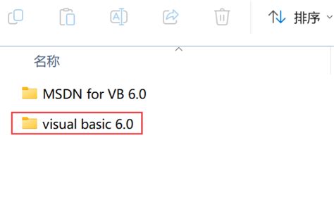 Visual Basic Setup 的图像结果