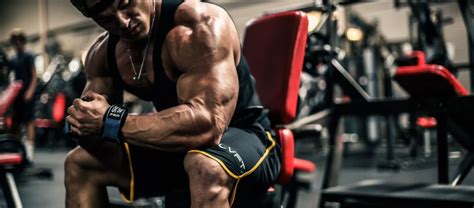 Image result for Muscle Building Motivation