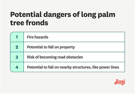 Lifespan Of Palm Trees - lifespan of trees