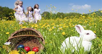 How to Batch Convert PDF to JPG Format