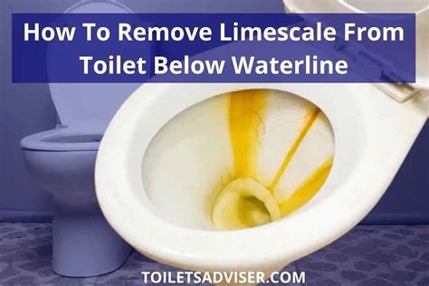 How Do You Remove Limescale From A Toilet Bowl | Detroit Chinatown