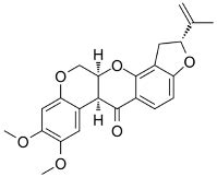 DNA Damage and Parkinson’s Disease