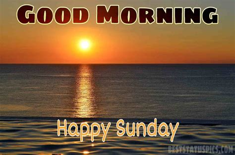 Top 999+ good morning happy sunday hd images – Amazing Collection good ...