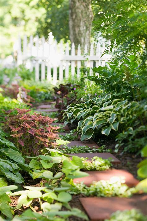 20 Shady Garden Corner Ideas for a Vibrant Shade Garden
