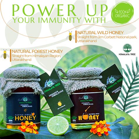 Combo Offer - Natural Forest Honey 250g + Natural Wild Honey 250g (Sav ...