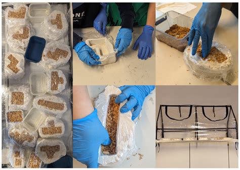 Harmonizing Nature, Education, Engineering and Creativity: An ...