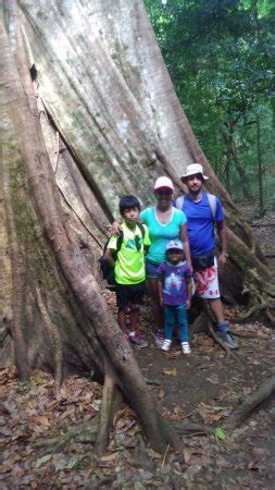 Guanacaste Howler Travel (Liberia) - All You Need to Know BEFORE You Go