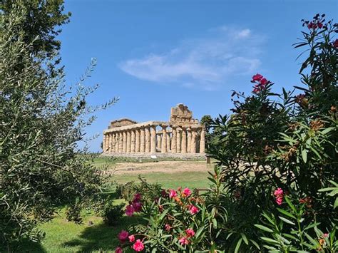 Rudi Rides - Utrecht | Tripadvisor