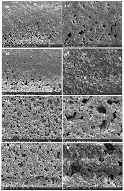 Effect of Polarization on Performance of Inverted Solar Cells Based on ...