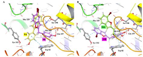 Structural Insight of New Butyrylcholinesterase Inhibitors Based on ...