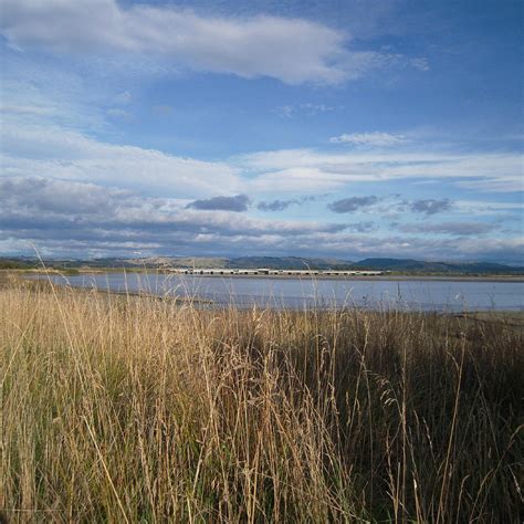 AHURIRI ESTUARY WALK (2025) All You Need to Know BEFORE You Go (with ...