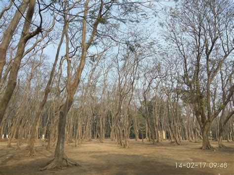 Sandis Compound, Bhagalpur, BR