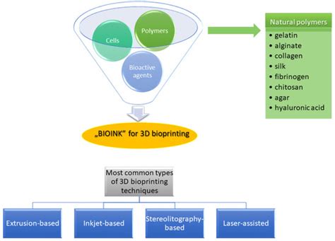Natural Polymers for the Maintenance of Oral Health: Review of Recent ...