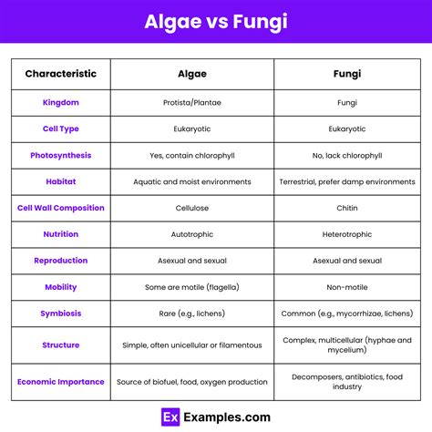 Algae vs Fungi - Differences Explained with Examples & Characteristics