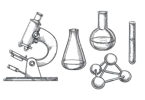 Lotus Integrated Logistics