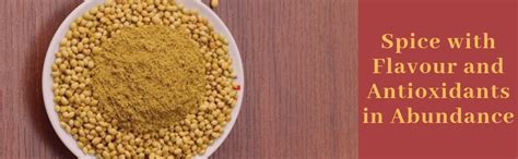 Chukde Dhania/Coriander Powder - 200 Gm | Seasoning, Marinade | Spice ...