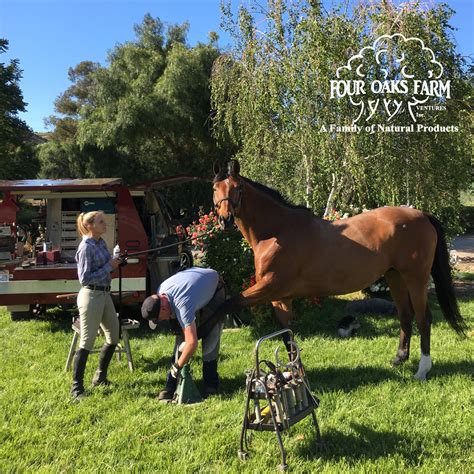 About Us - Four Oaks Farm Products