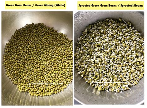 How to Prepare Green Moong Sprouts at Home | Green Gram Beans Sprouts ...