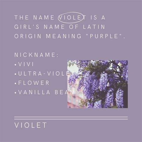 V I O L E T in 2025 | Names with meaning, Violet name, Girl names