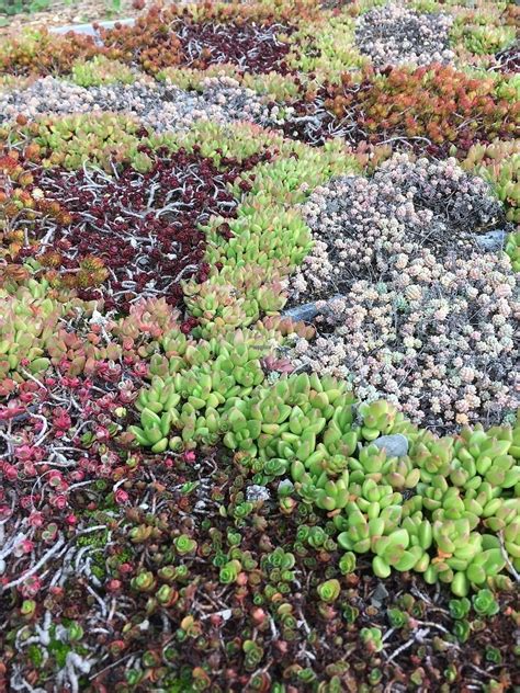 Earthbound Farm Stand and Cafe - Carmel California Restaurant - HappyCow