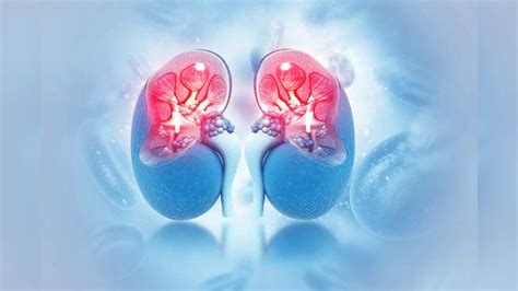 Can low-dose lithium help improve kidney health? | Health News, Times Now