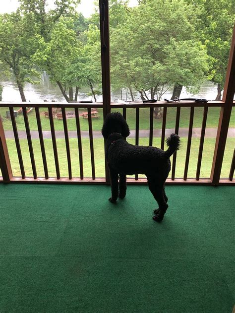 RAINBOW DRIVE RESORT (Cotter) - Campground Reviews, Photos, Rate ...