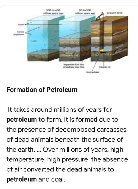 the process of formation of petroleum in earth - Brainly.in