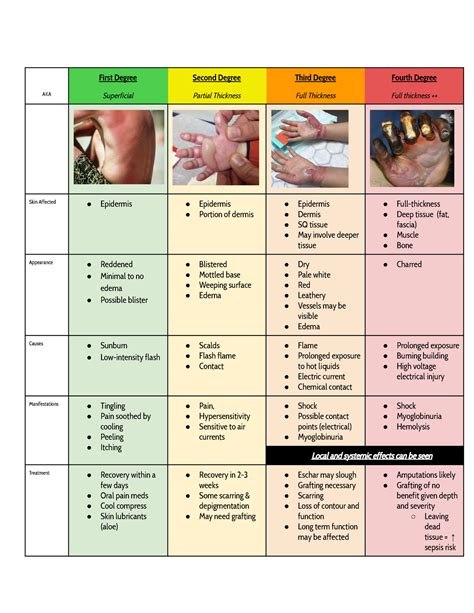Burns chart - First Degree Second Degree Third Degree Fourth Degree AKA Superficial Partial ...