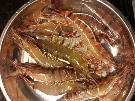 清蒸海虾怎么做_清蒸海虾的做法_豆果美食