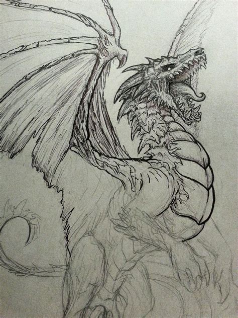 dragon drawing sketch