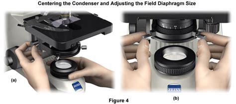 Image result for Microscope Alignment