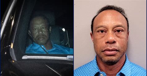 Tiger Woods 'stepping away' from golf to 'seek treatment' after DUI ...