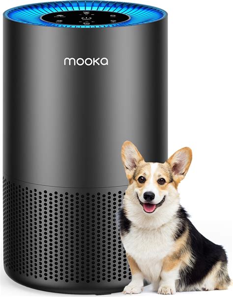 Amazon.com: Air Purifiers for Home Large Room Pets Up to 1300 Sq Ft ...