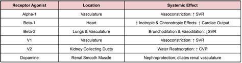 Image result for Data Collection Instruments Vector Logo