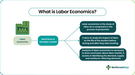 Labor Economics - Definition, Explained, Example, Importance