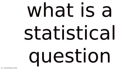 Image result for Statistical Question Definition