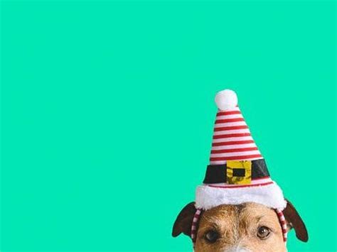 Elfs or Elves: What is the plural of 'elf'? | Merriam-Webster