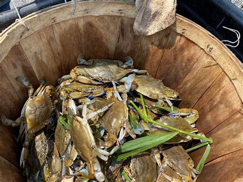 RED BANK MARINA - All You SHOULD Know Before Going 2026 (with Photos ...