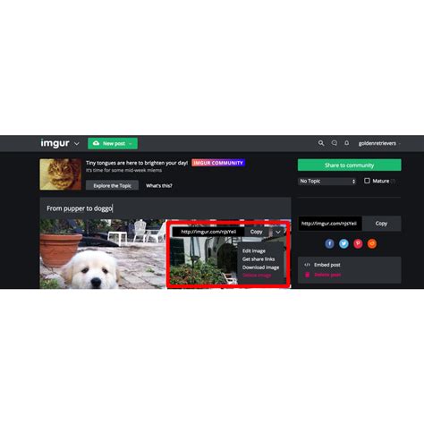 Alternatives To Imgur