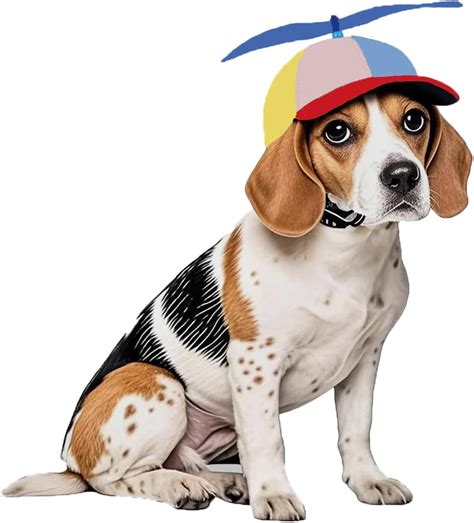 Amazon.com : Pet Propeller Hats,Rainbow Helicopter Top Hat, Sun Hat ...