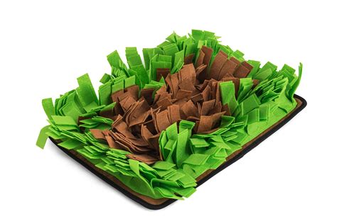 Image result for Programming Training Carpet