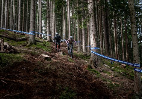 Lines & Trails | Bikepark Leogang