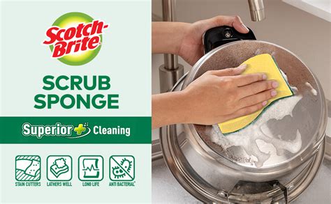 Scotch-Brite Scrub Sponge for Utensil Cleaning | Kitchen Scrubber with ...