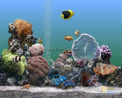 热带鱼水族箱屏幕保护程序 软件界面预览_多特软件站