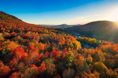 Autumn vs. Fall: Why Do Americans Say “Fall” Instead of “Autumn”?