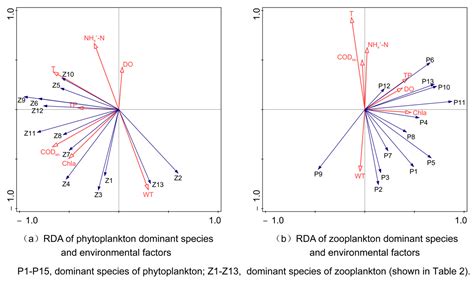 Spatial and Seasonal Dynamics of Plankton Community and Its ...