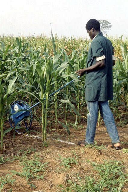 Broadcasting Fertilizer 的图像结果