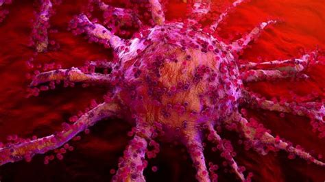 Image result for Cancer Detection Using Graph CNN