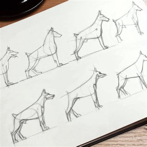 Draw Tutorial Animals 的图像结果